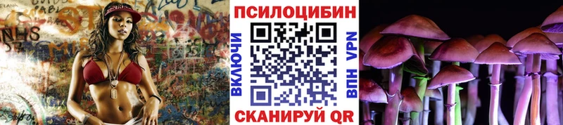 Псилоцибиновые грибы Psilocybe  где можно купить   Барабинск 